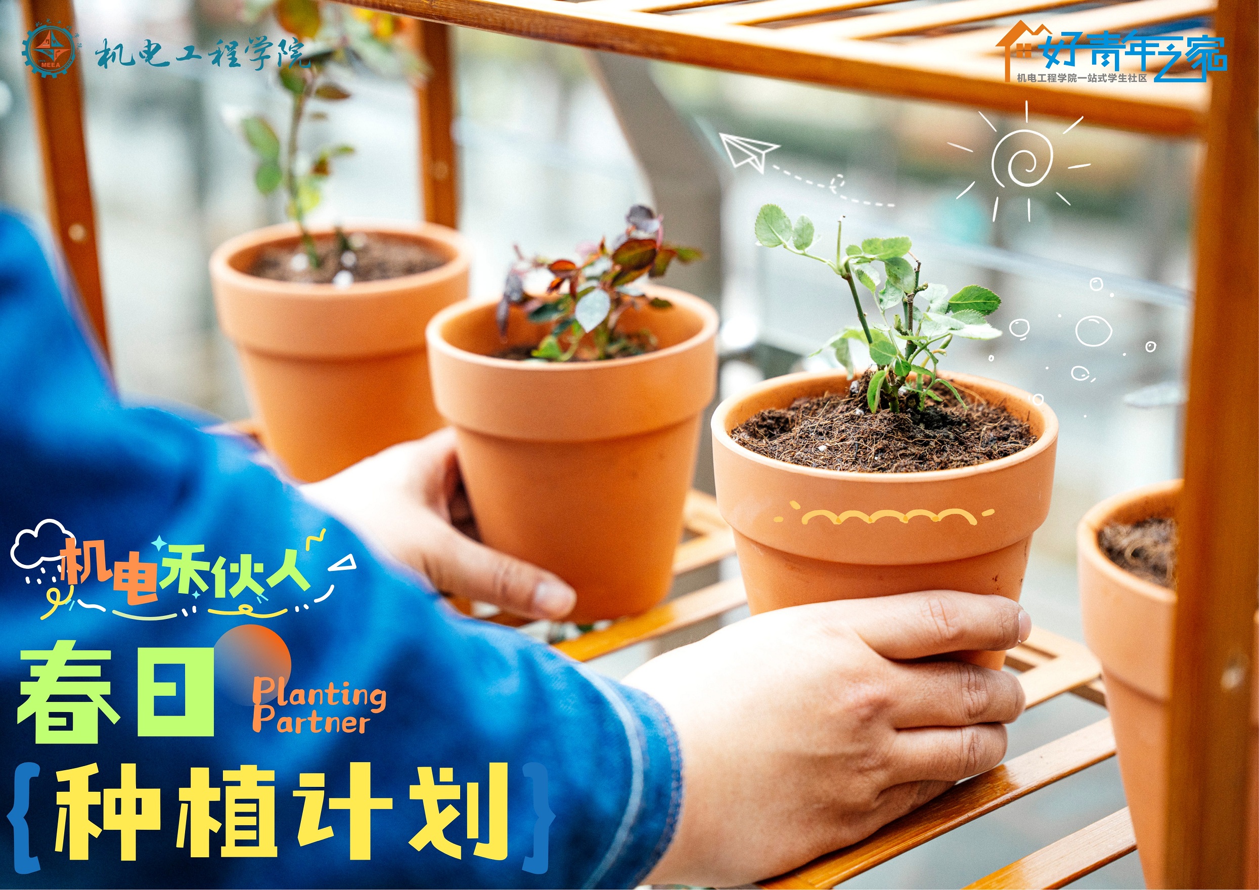 图4 认领植物幼苗