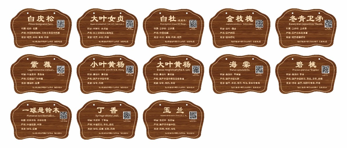 图片5