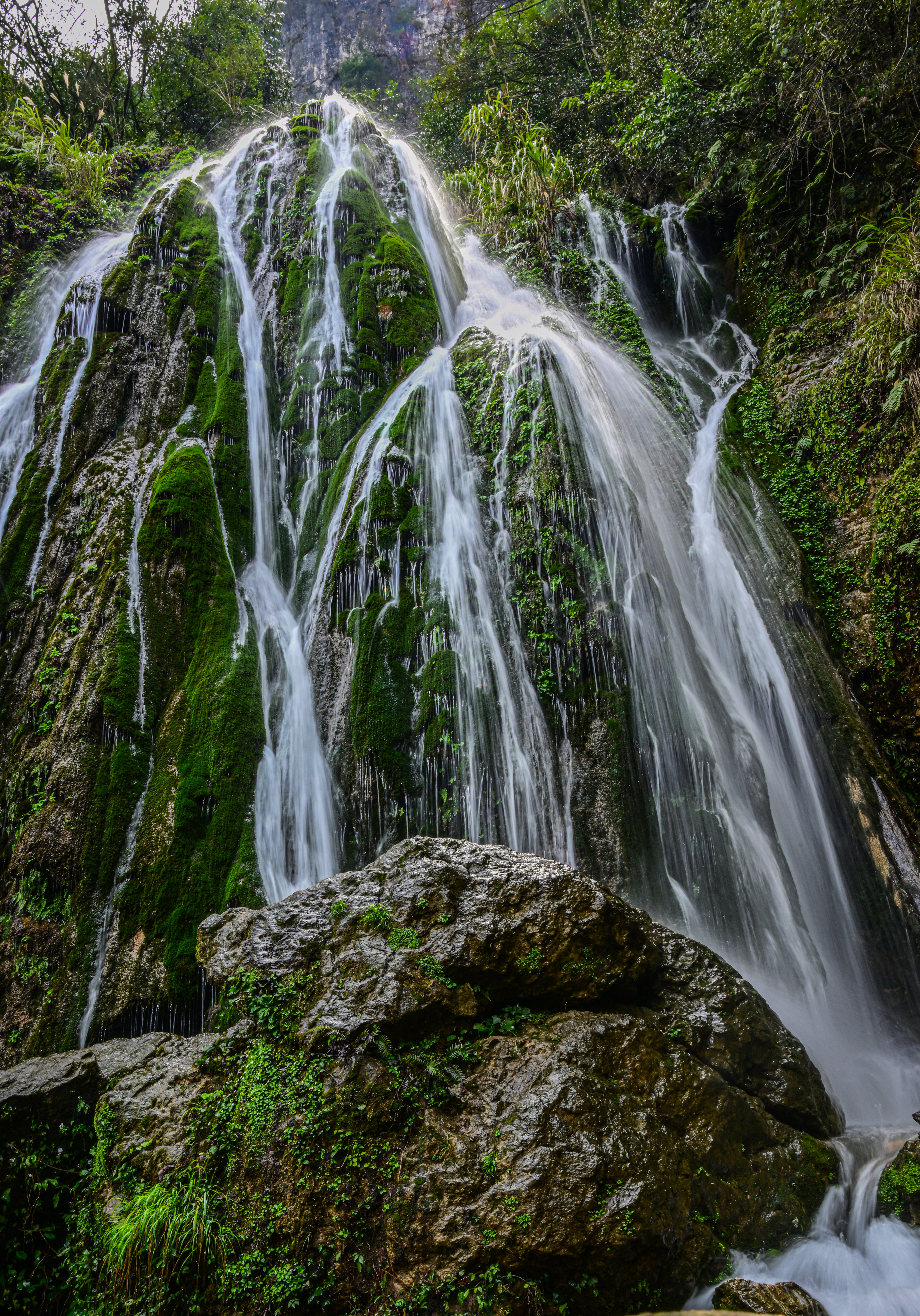 微信图片_20250317085931