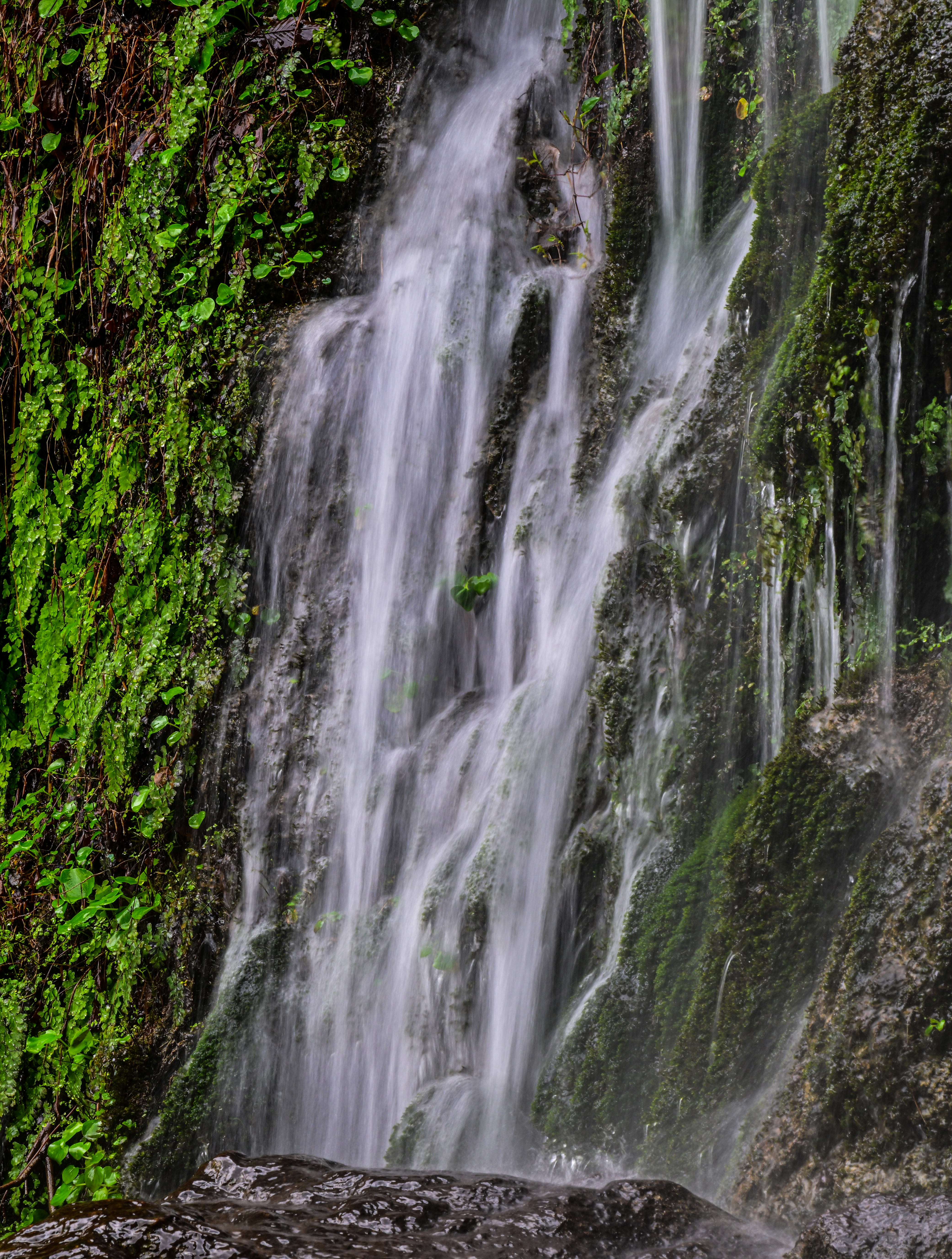 微信图片_20250317085932