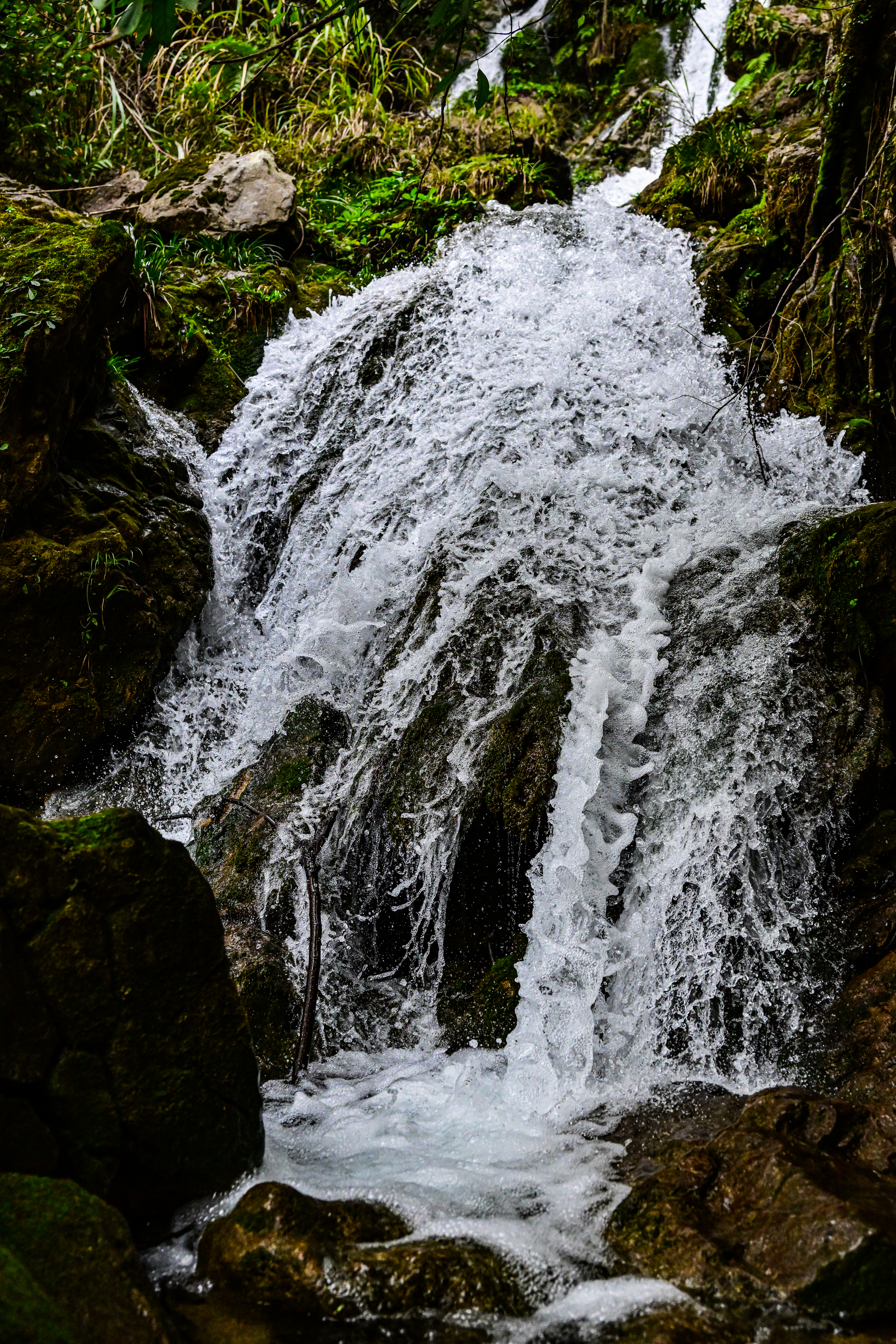 微信图片_20250317085926