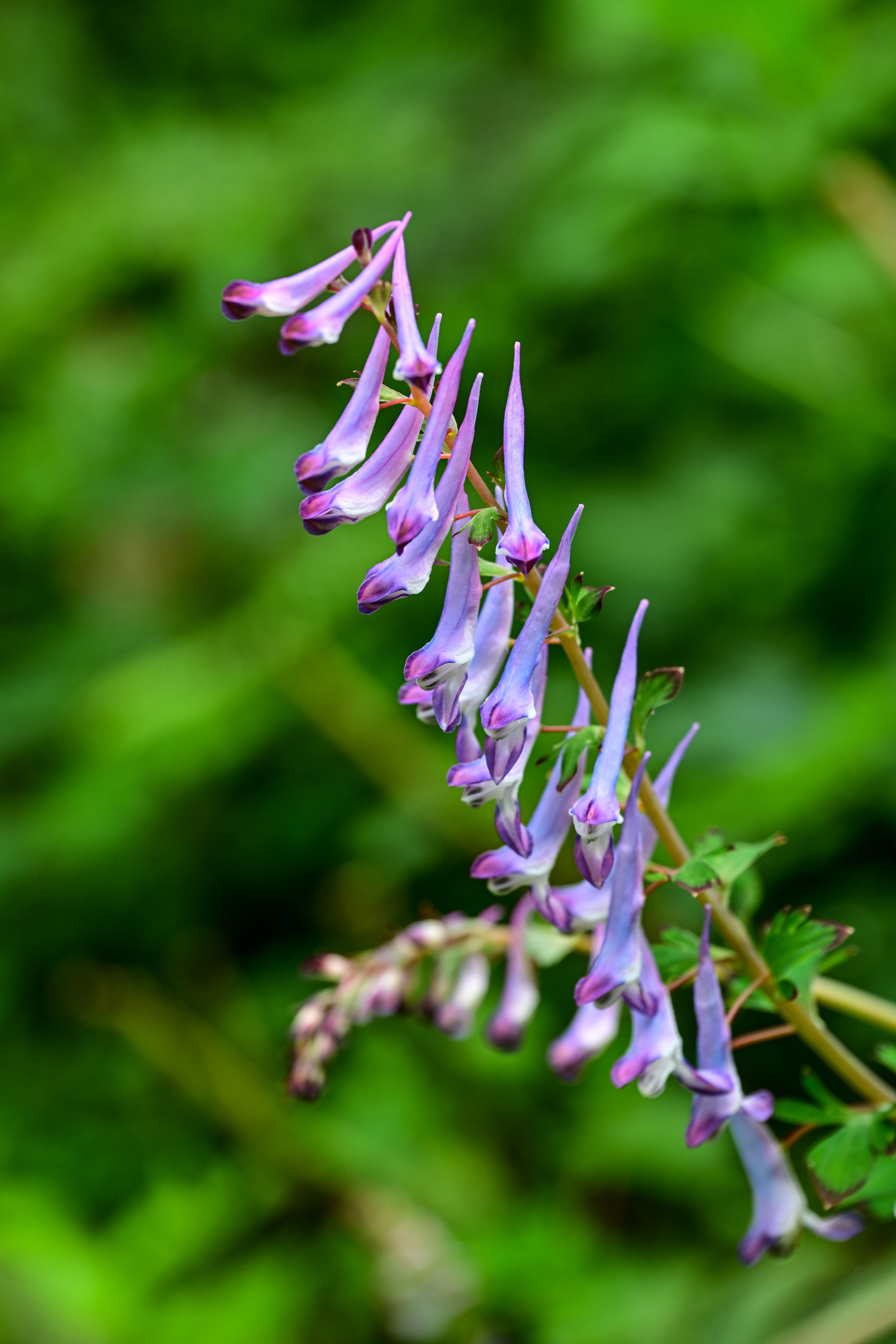 微信图片_20250317085920