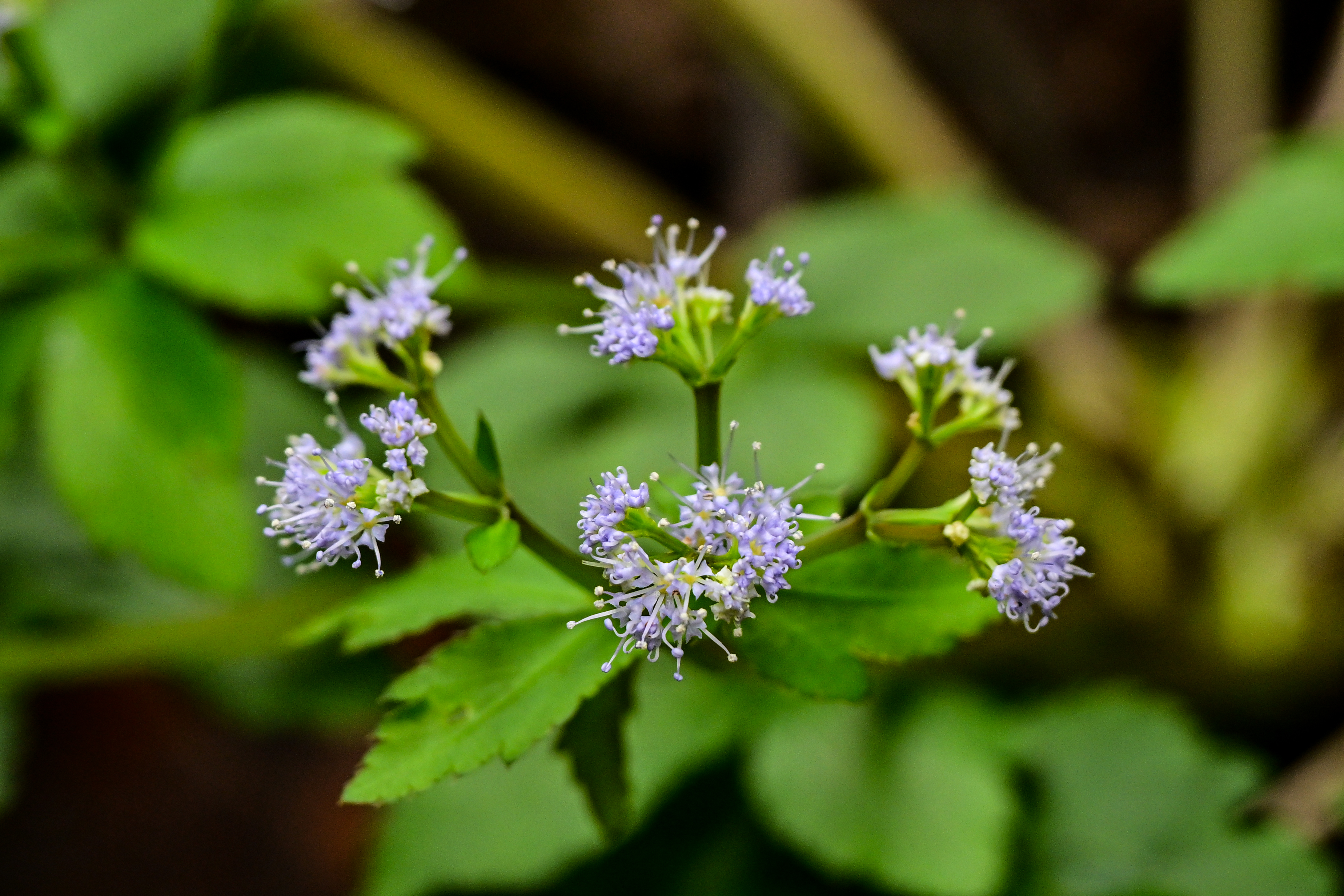 微信图片_20250317085917