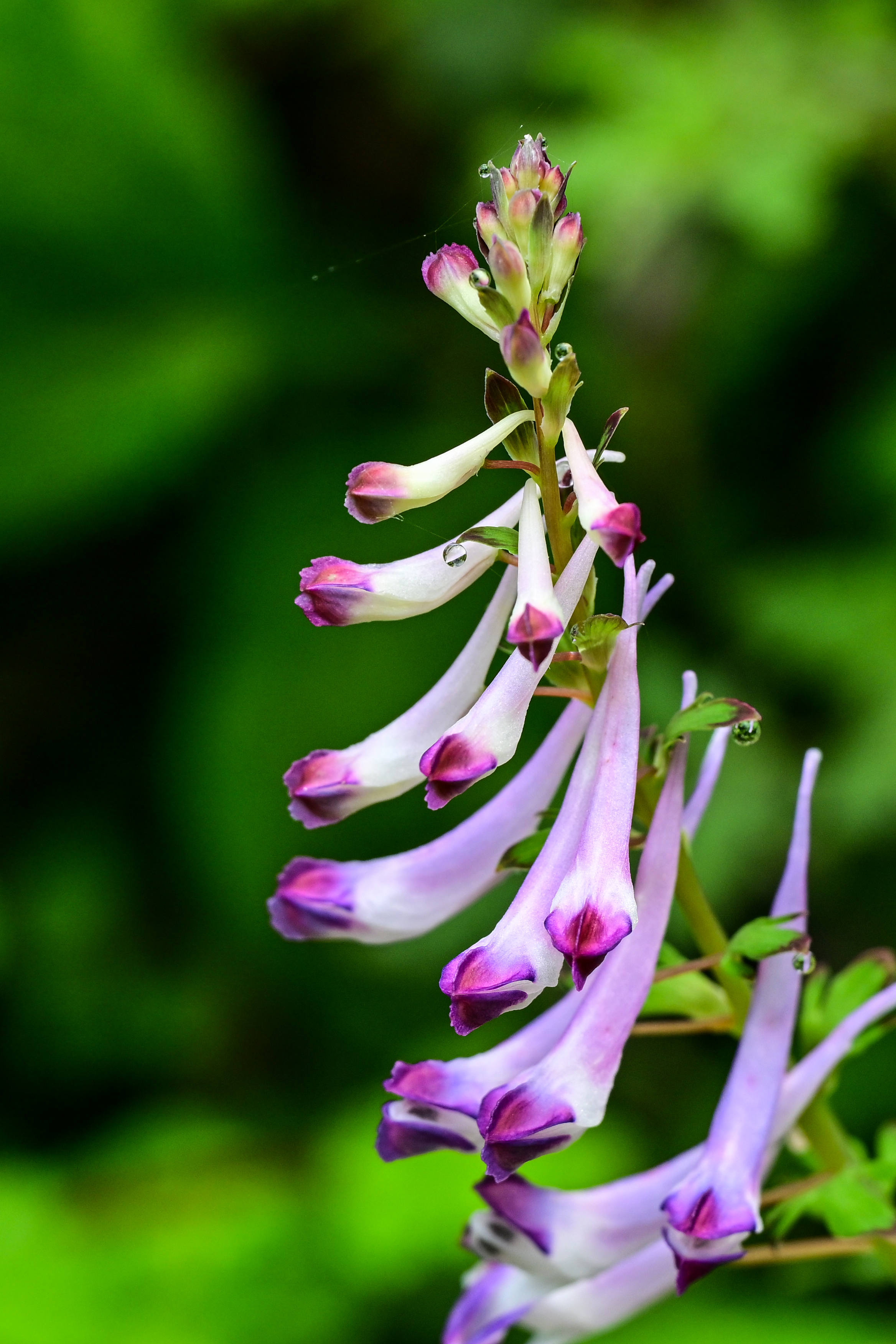 微信图片_20250317085918