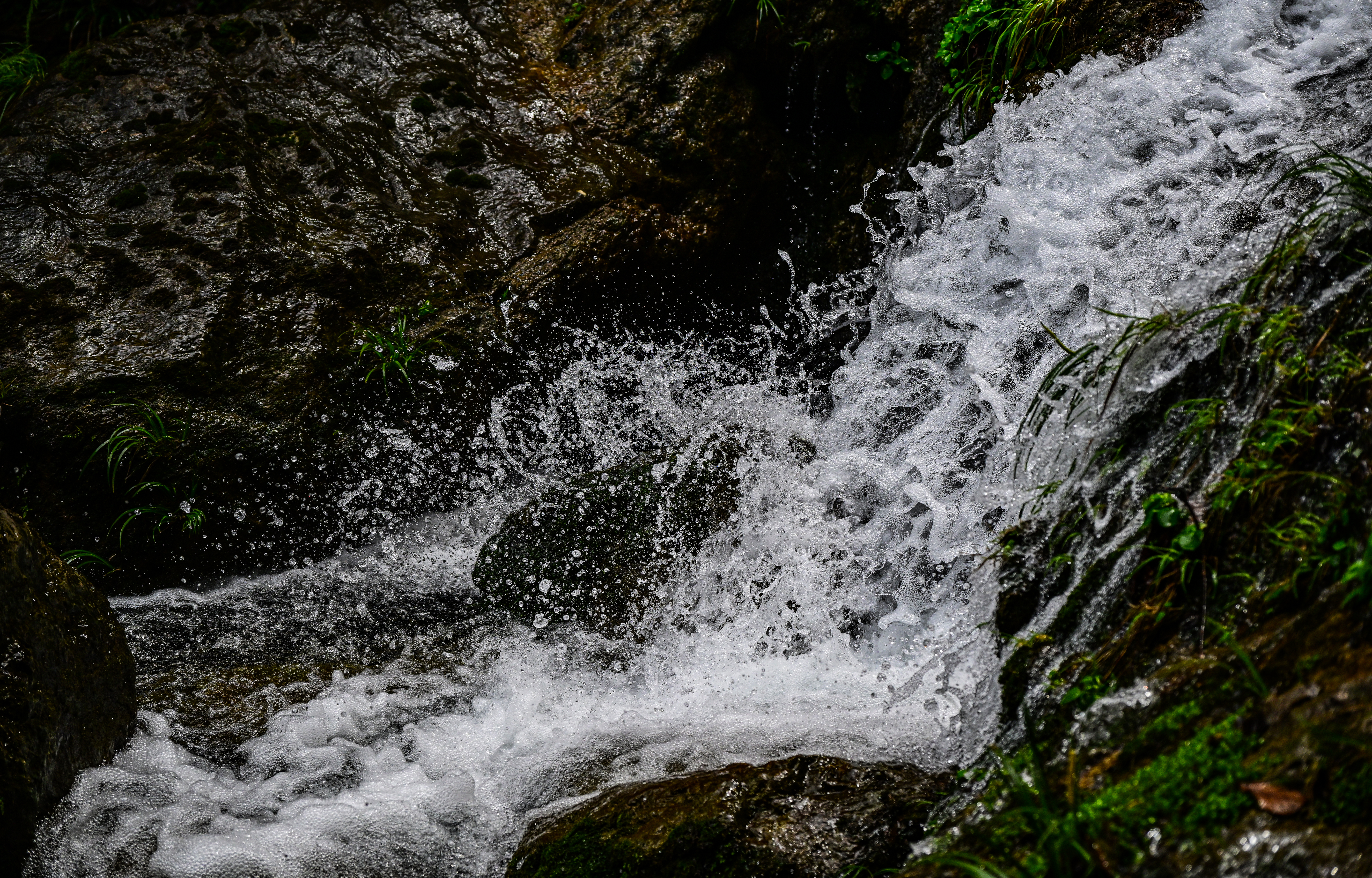 微信图片_20250317085806