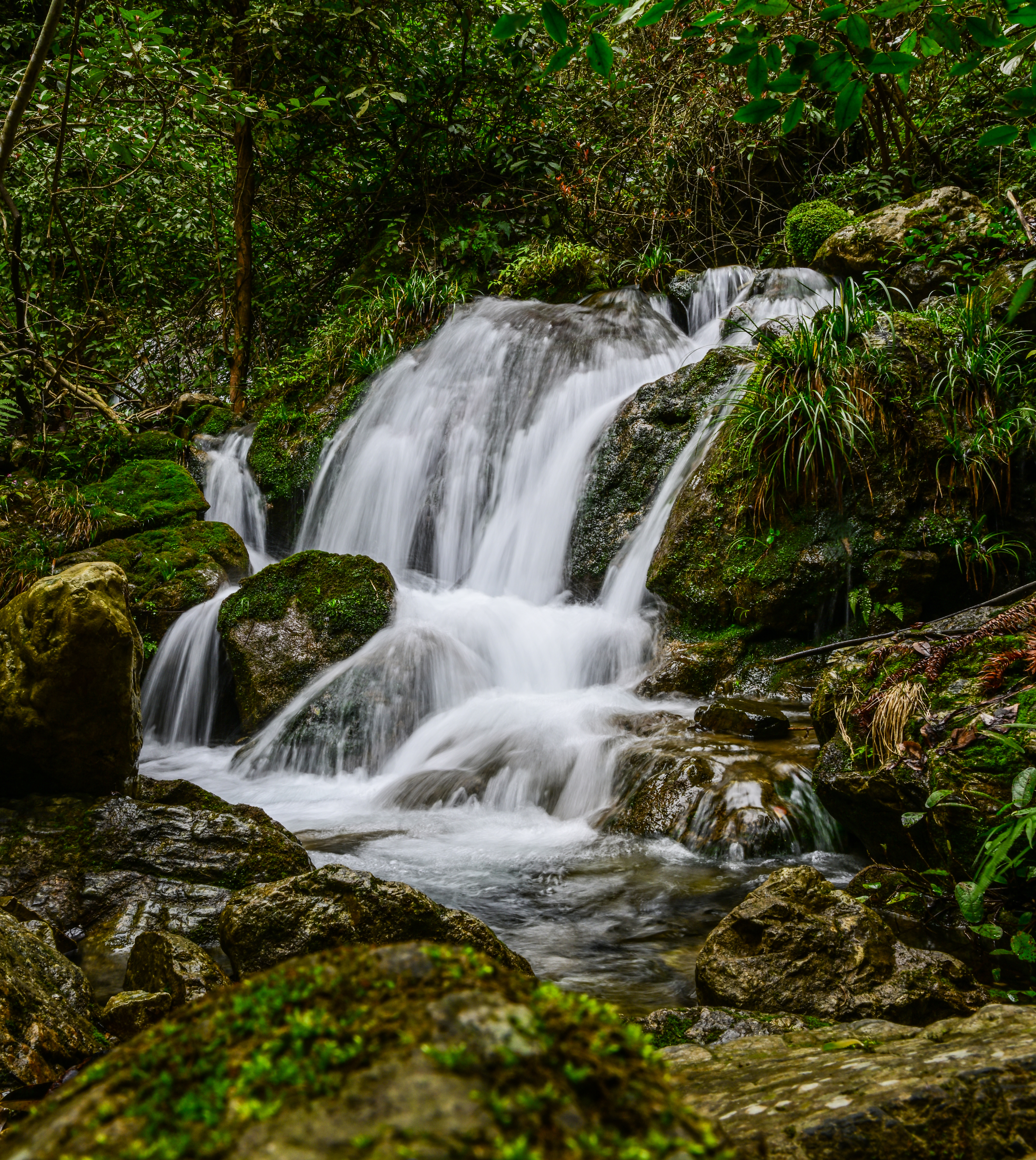 微信图片_20250317085922