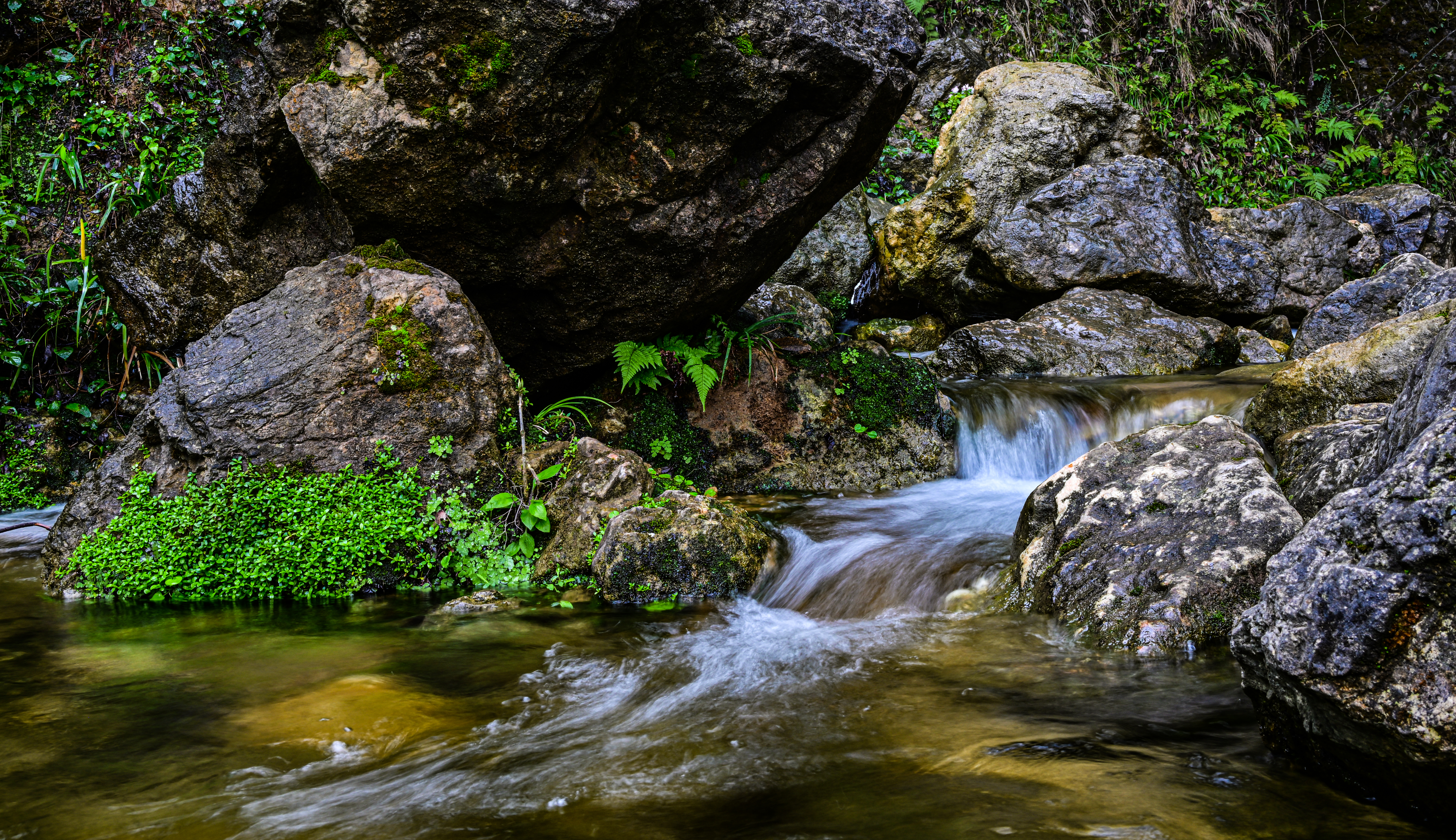 微信图片_20250317085935