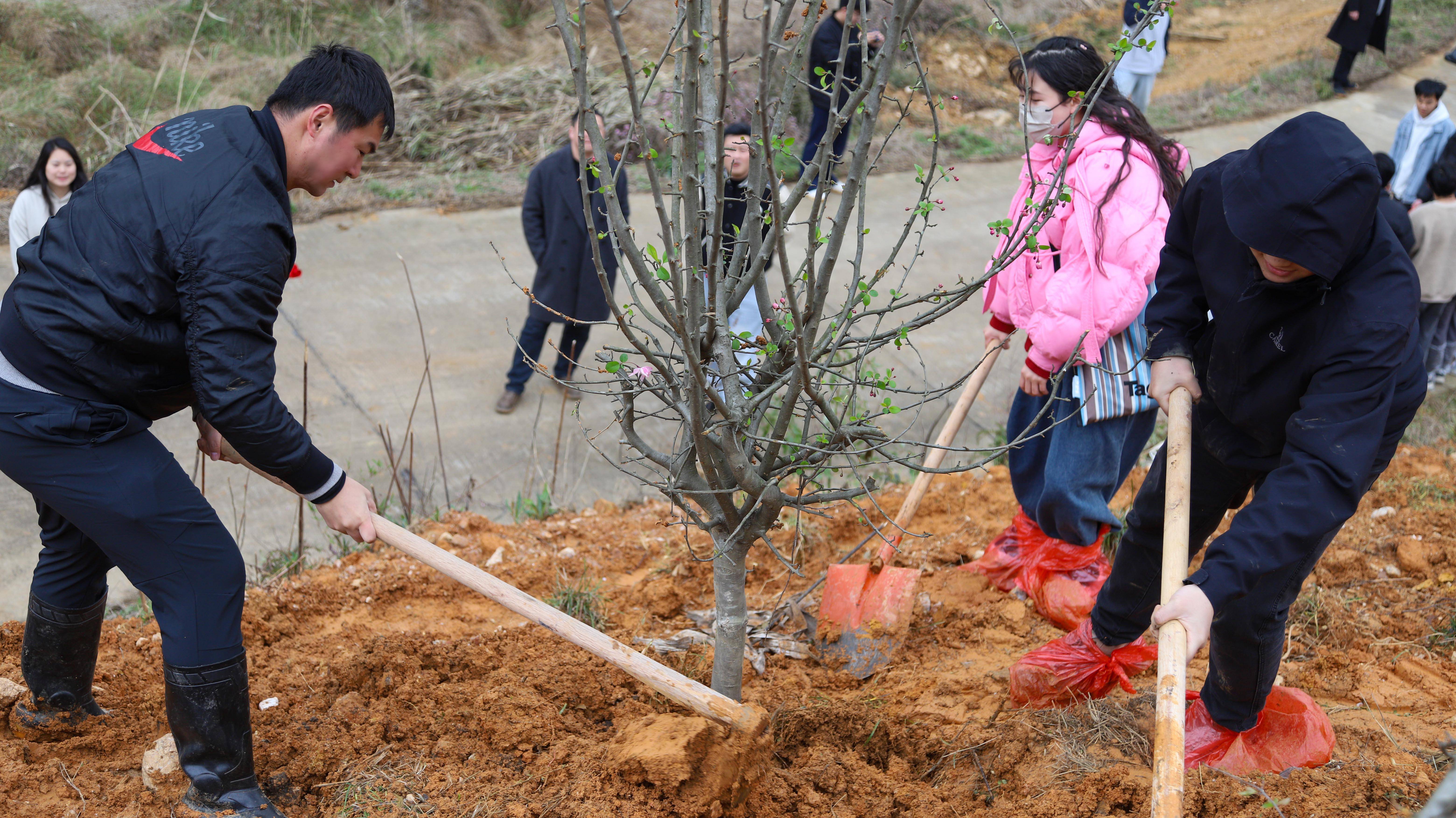 81f7772185eff081108267936f19d84(1) 81f7772185eff081108267936f19d84(1)