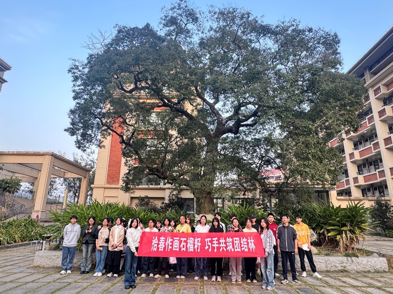图片6