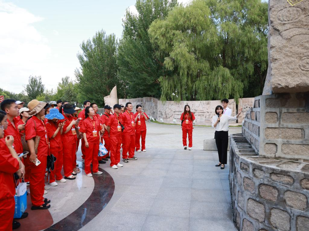 图片15