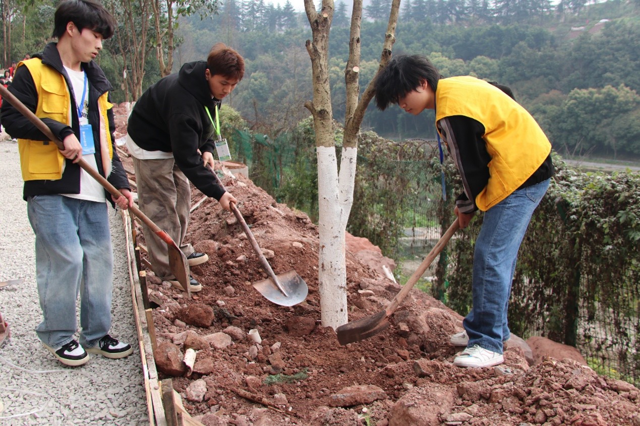 F1655A695B117D06889D7085B6F_12DF5319_5ED39