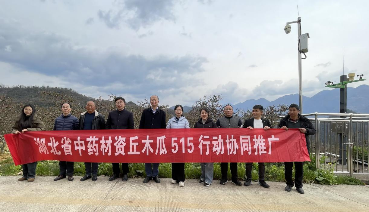 2025年3月资丘木瓜产业专题调研暨“515”行动协同推广活动