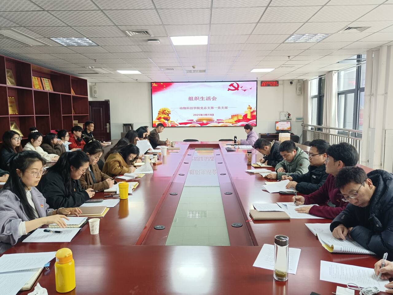 图片1