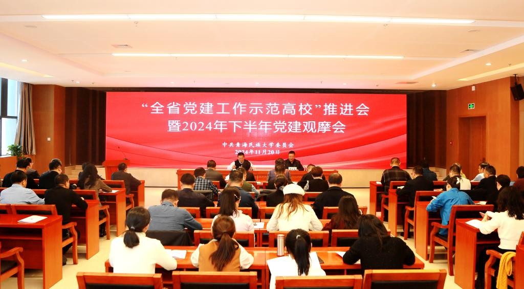 支部“强国行”党建工作在学校党建观摩会上作交流发言