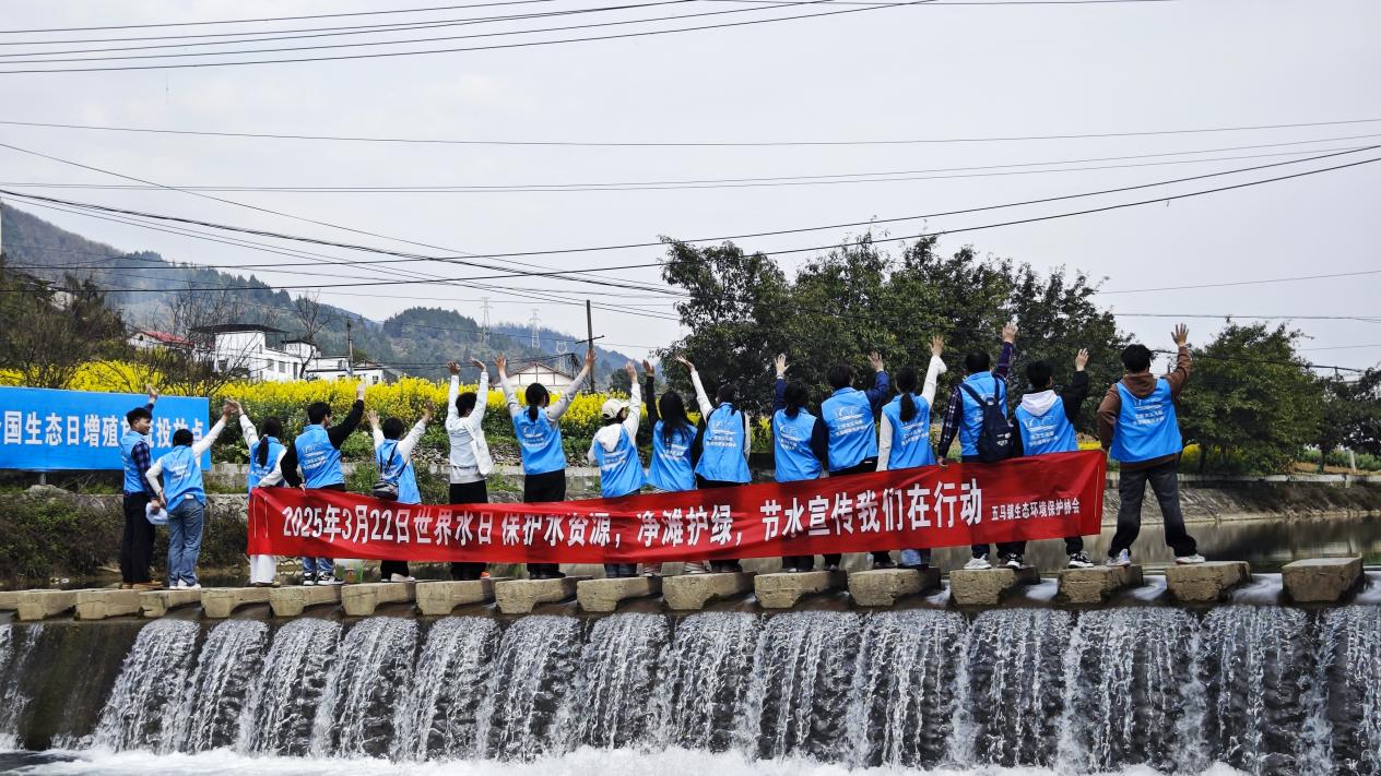 图片6