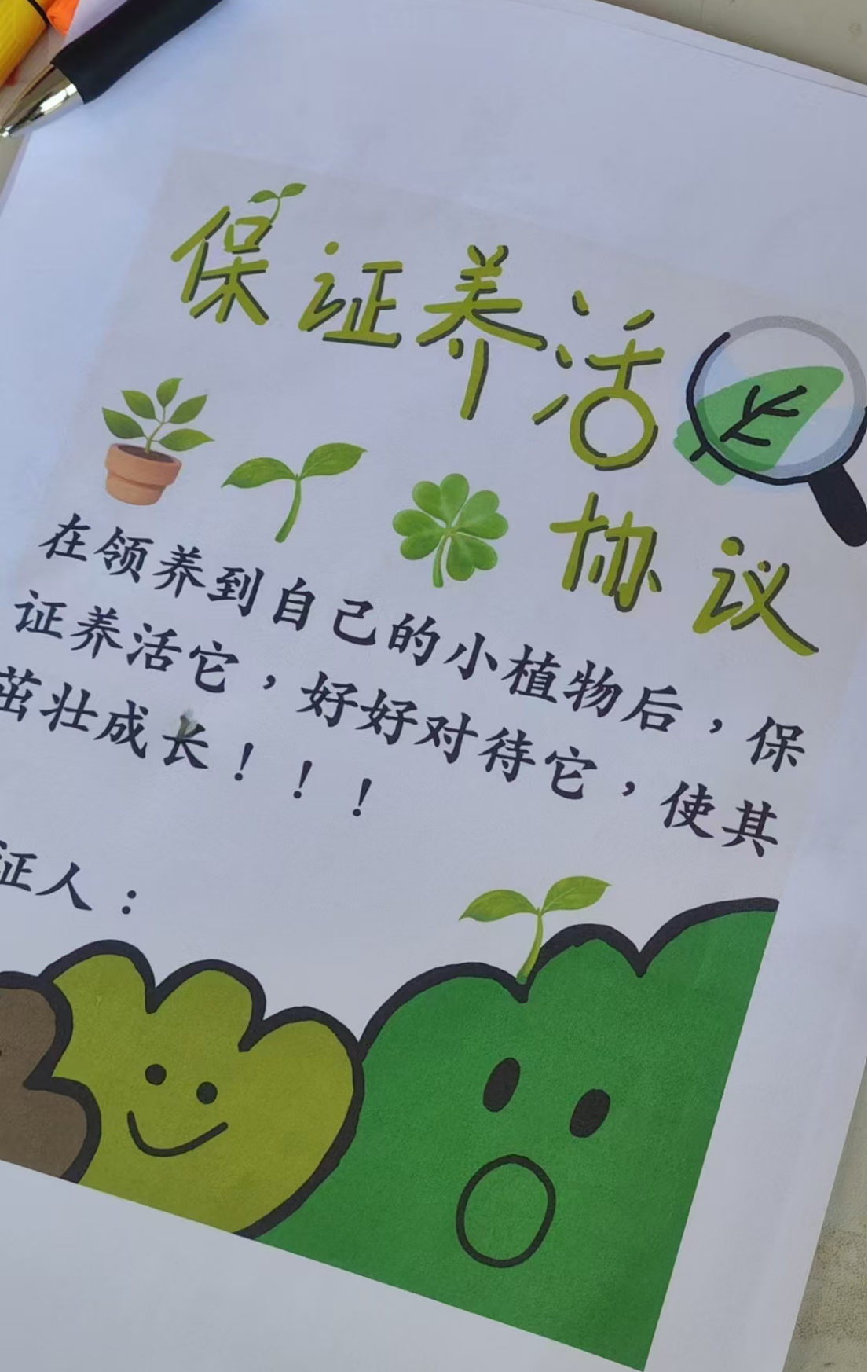 图片5