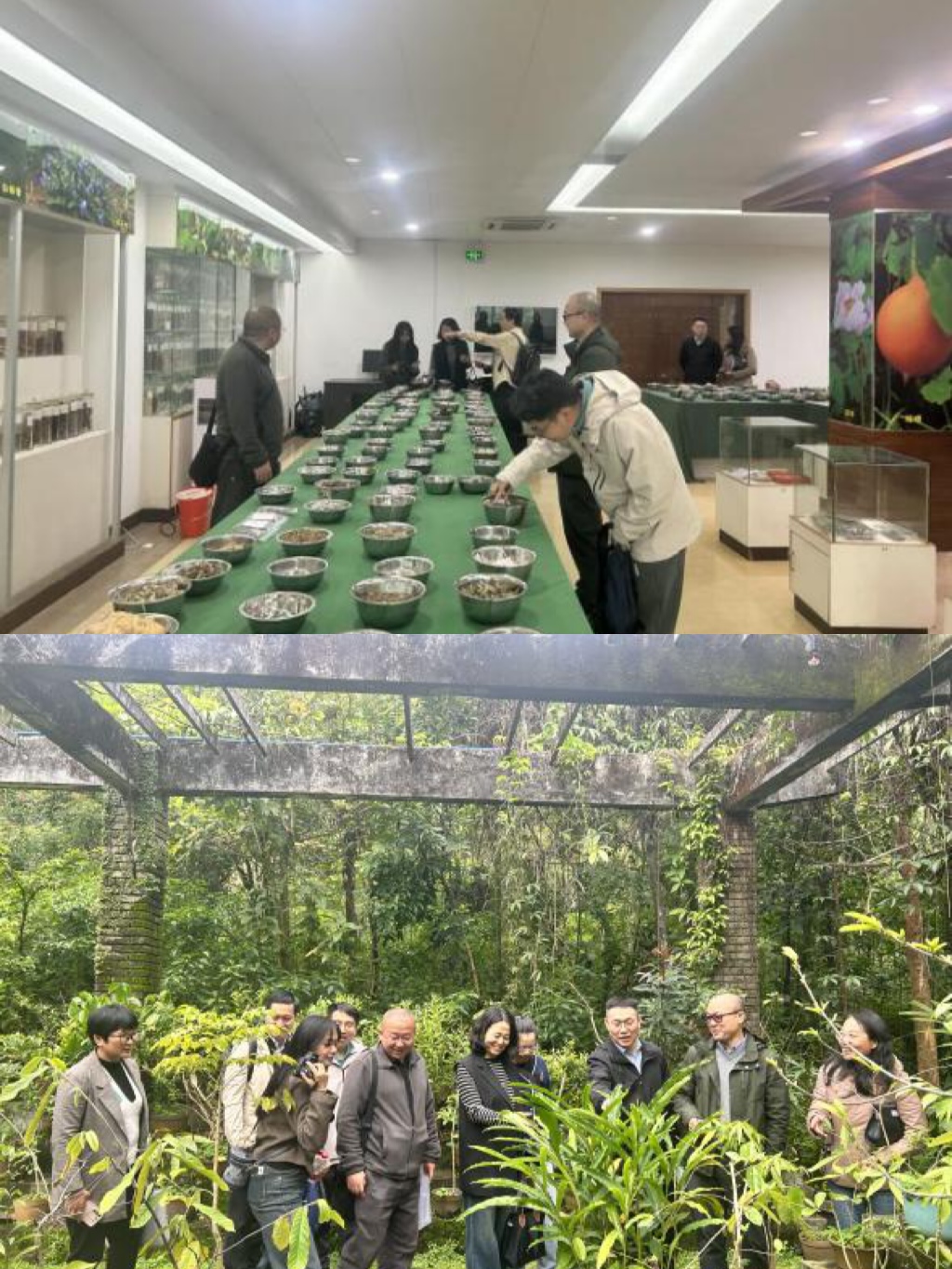 微信图片_20250402081832