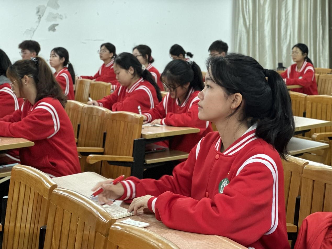 图片4