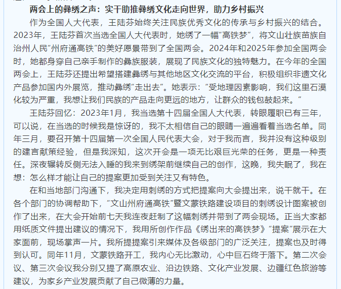 3.两会上的彝绣之声：实干助推彝绣文化走向世界，助力乡村振兴