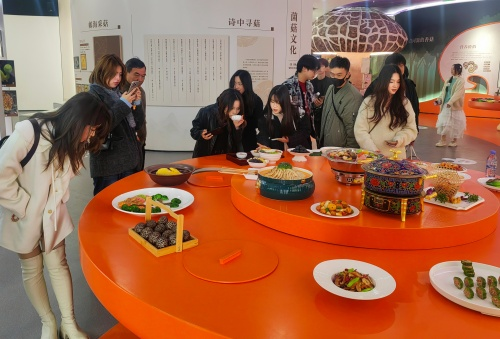 师生参观随州香菇博览馆2
