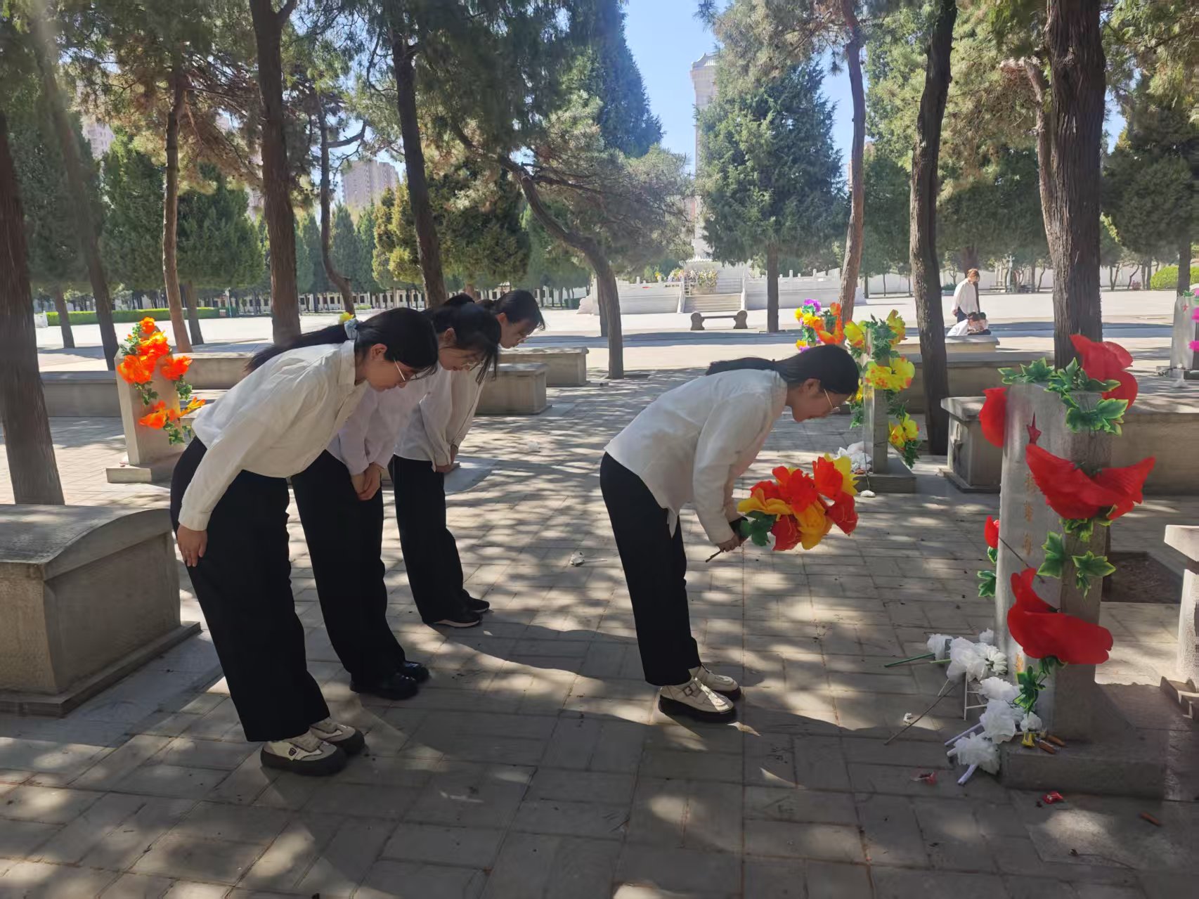 mmexport1743687864937 mmexport1743687864937