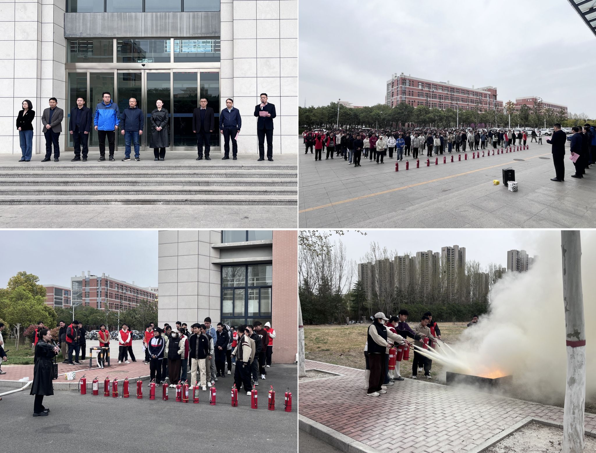 659FFD09D98A7C51FB4BA895E6D_F81B3C2D_8B397