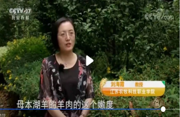 图片15