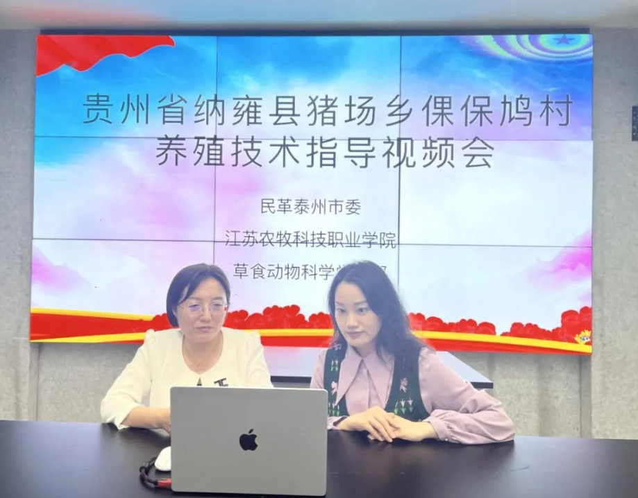 图片11