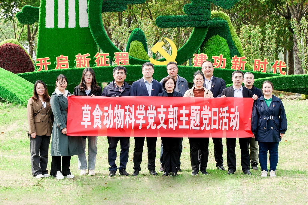 图片6