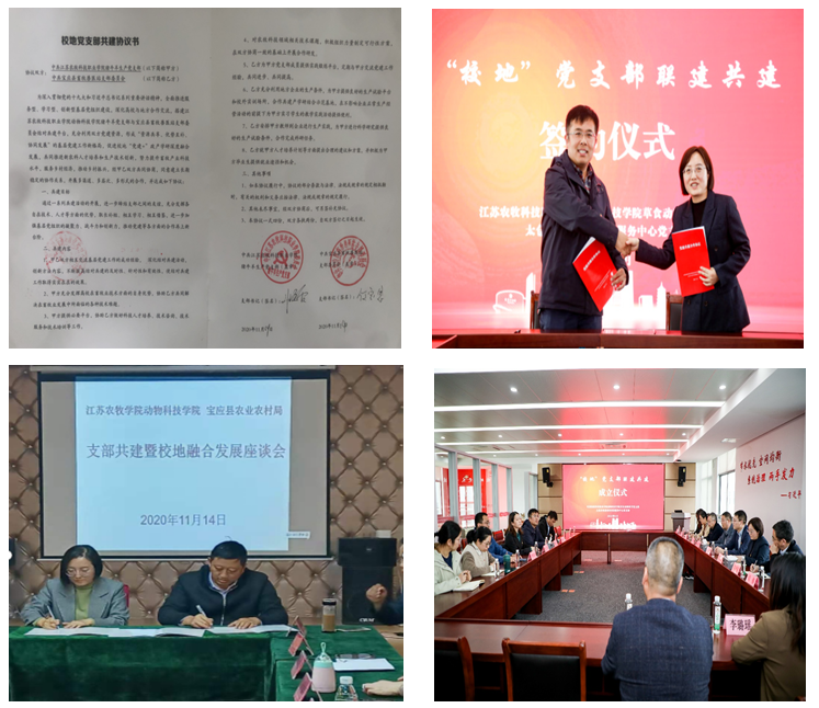 图片9