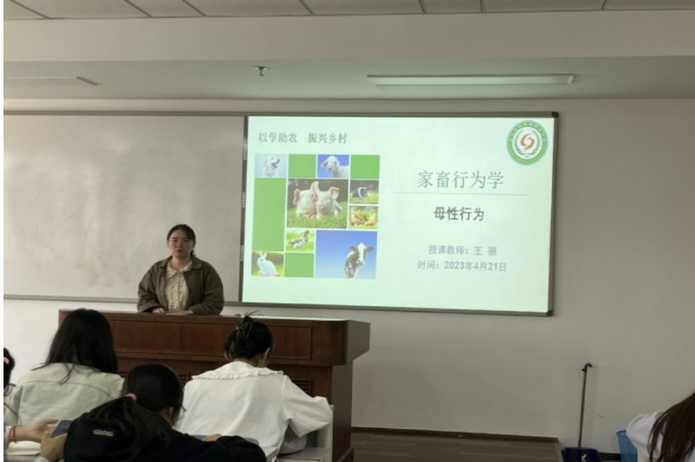 图片8