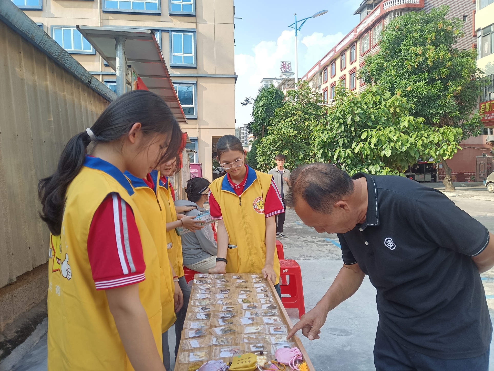 志愿服务队为居民介绍中药材标本（定罗社区党群服务中心）