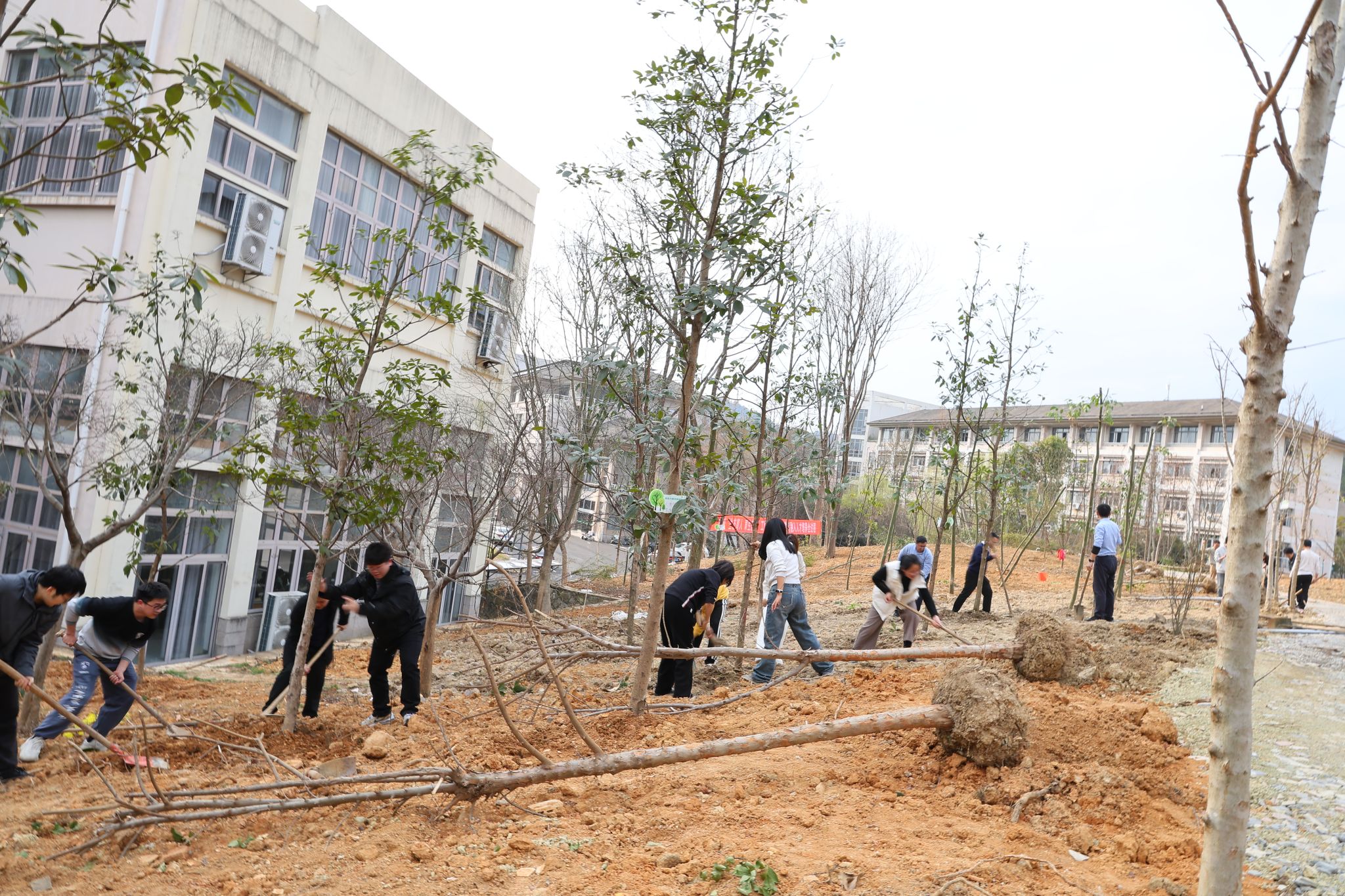 37FFD806925F48F9358C78FE695_4D83C511_A75AE