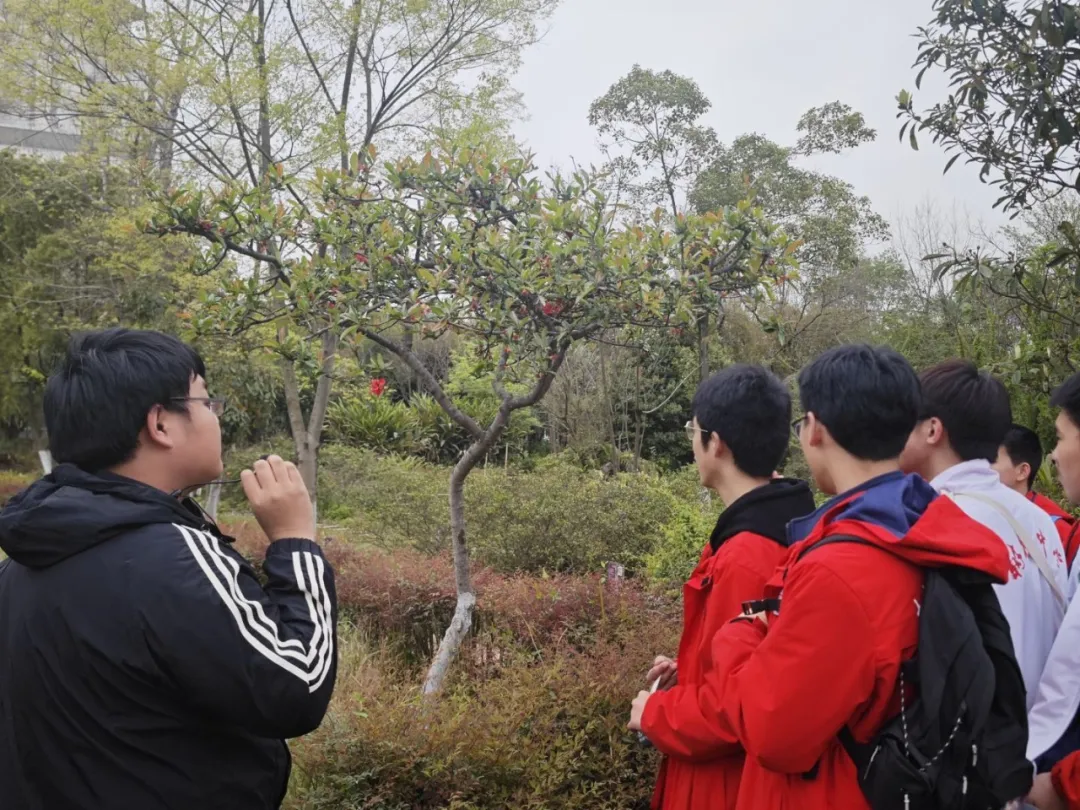 20250410-2 20250410-2