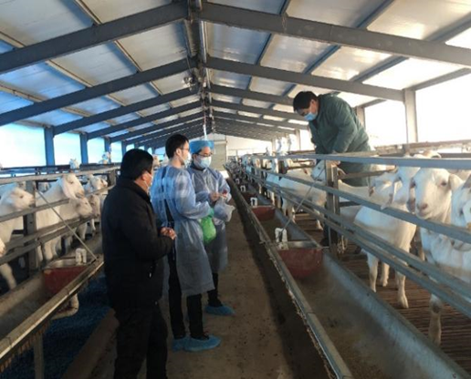 82541ed2-c996-4106-bc55-bc545ffab129