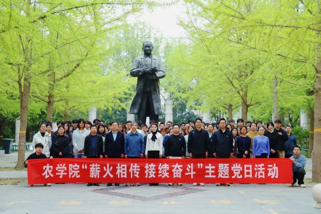 清明党日活动 清明党日活动