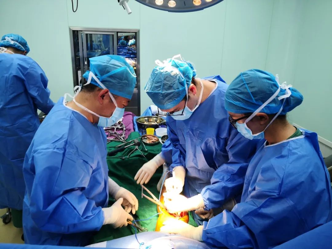 微信图片_20250410152826