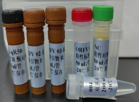 0f6f36ec-1588-49dc-a57c-07e2b238dbc7