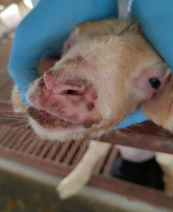 da1407dc-7820-482a-be2f-c90a22835a5f