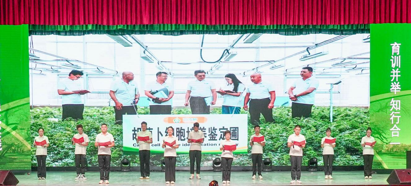 图片6