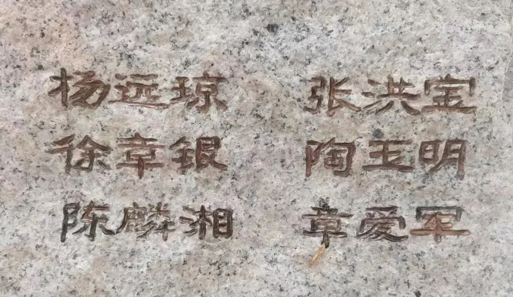 图片3