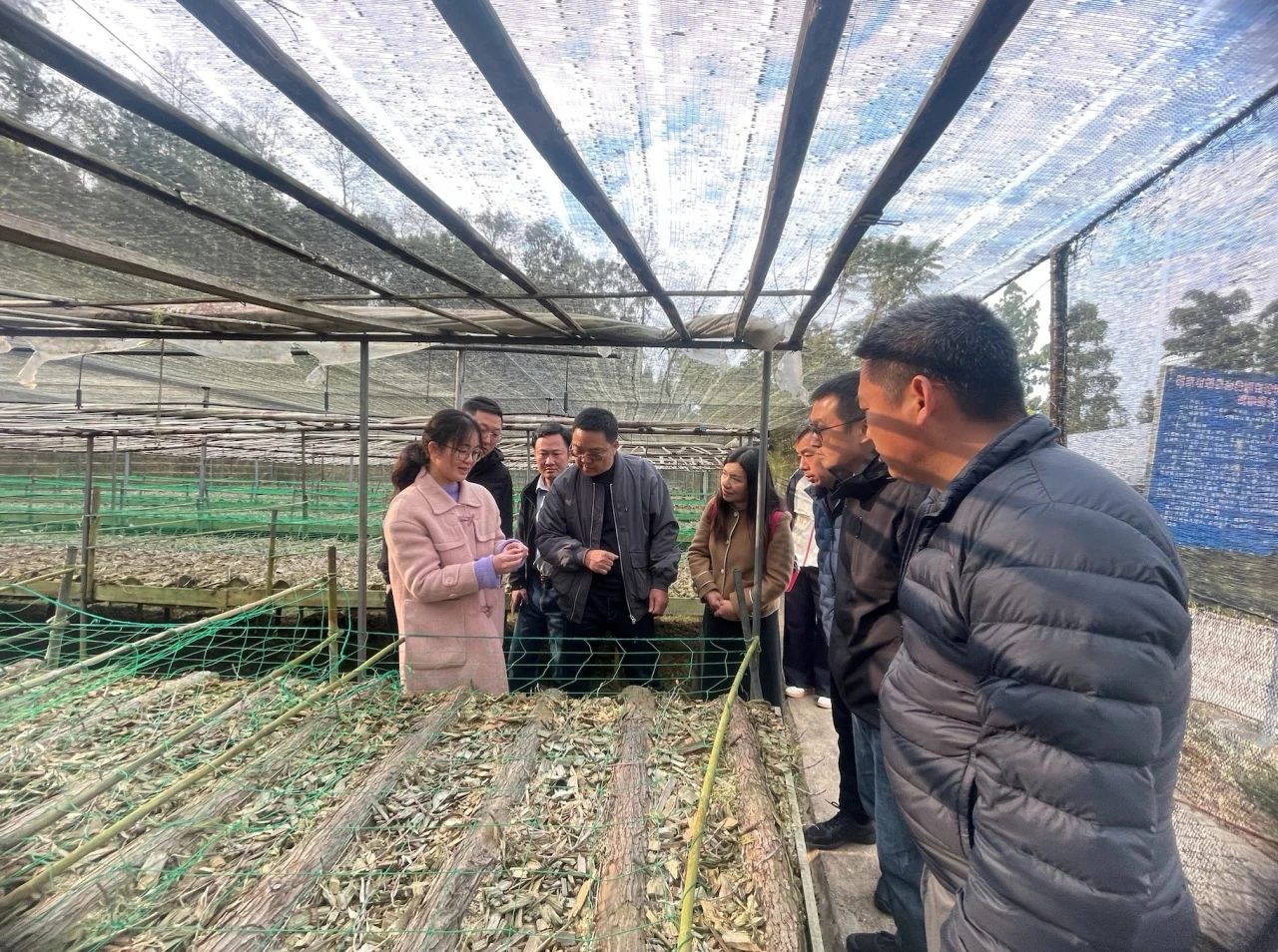 微信图片_20250411144952 微信图片_20250411144952