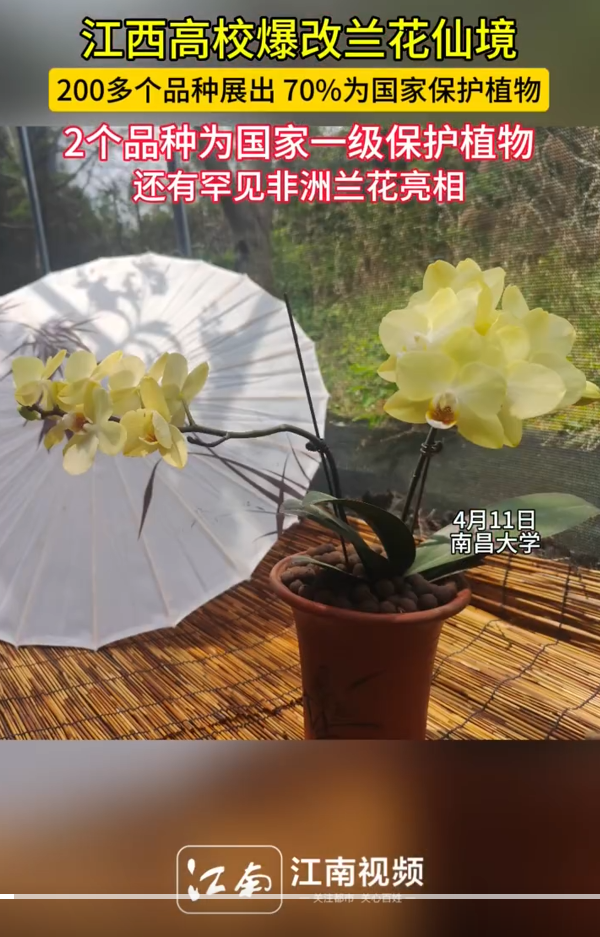 屏幕截图 2025-04-13 160444