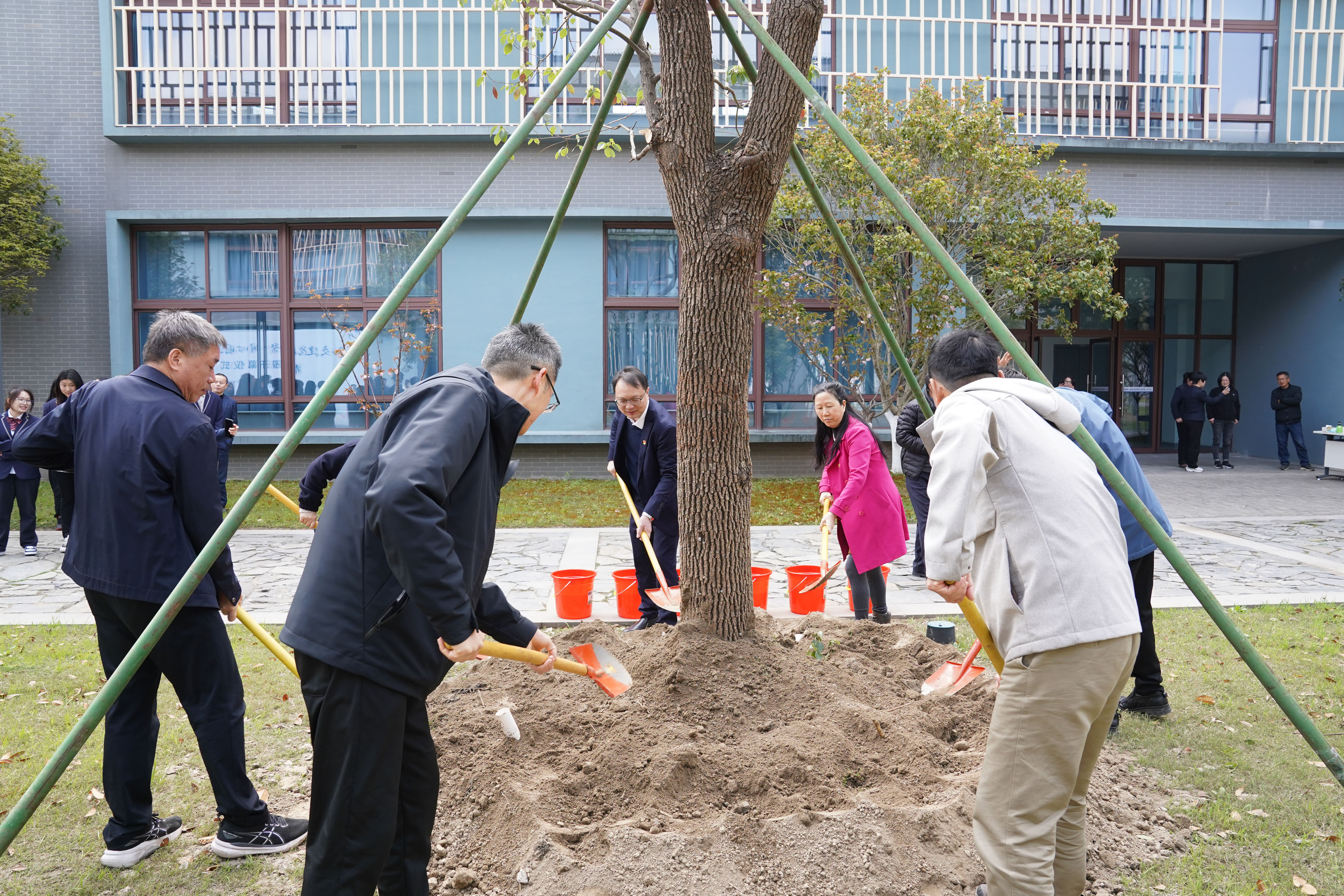 共植清廉树