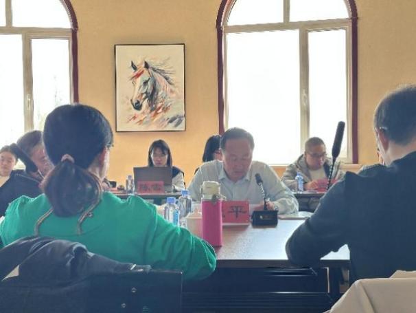 项目推进会6-02