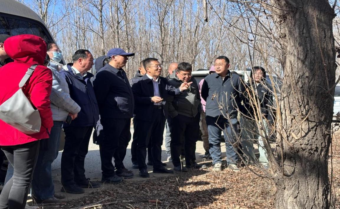 项目推进会3