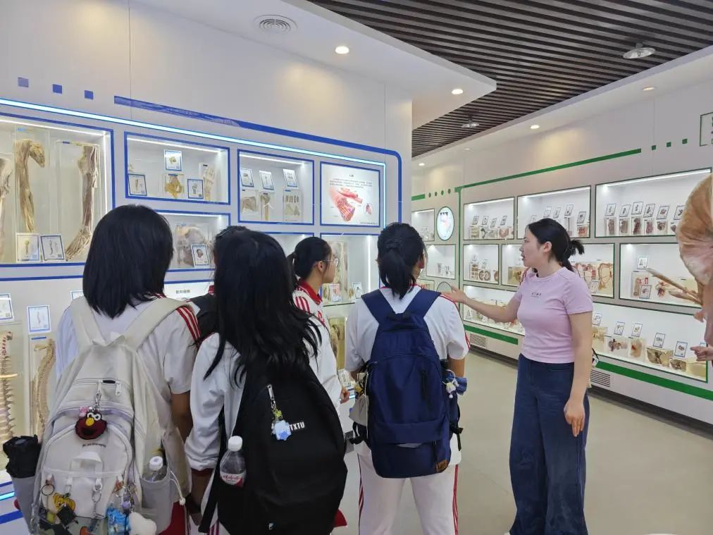 参观人体科学馆 参观人体科学馆