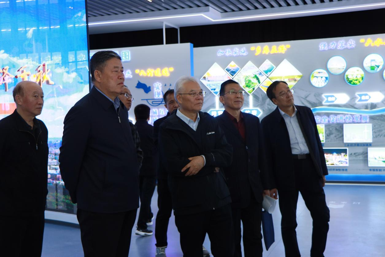 图片13