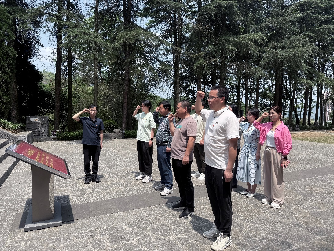 图片4