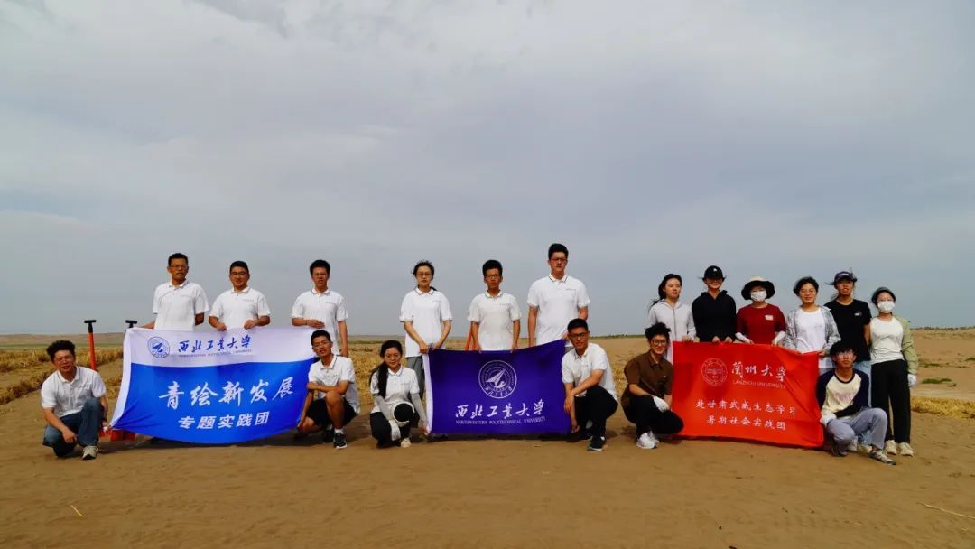 图片8